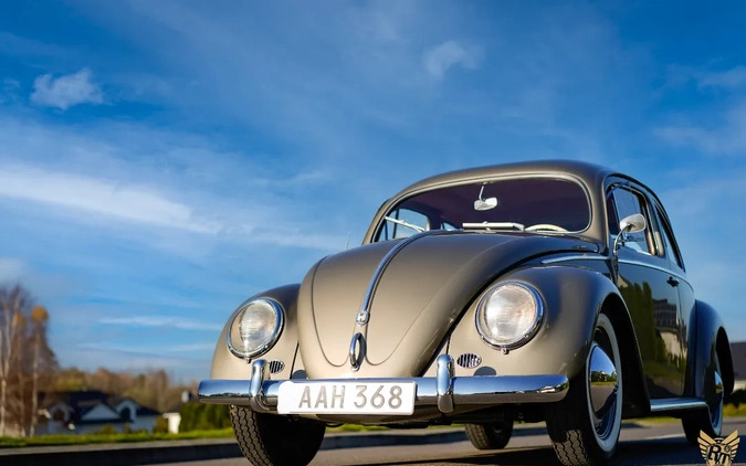Volkswagen Garbus cena 179000 przebieg: 73845, rok produkcji 1956 z Ostrzeszów małe 742